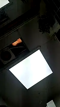 tula chyk online show from 02-11-26, 02:39