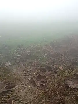 imissyoumylove14 online show from 01-17-26, 01:31