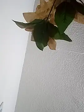 Naomy veracruz  online show from 02-13-26, 10:59