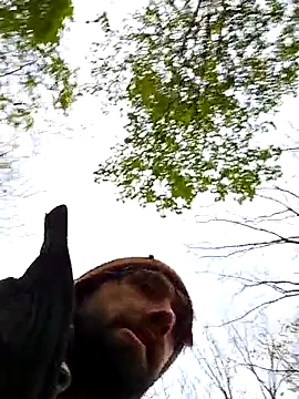 Fuckboy4public online show from 10-31-25, 09:32