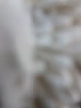 lemon69Reo online show from 02-15-26, 08:41