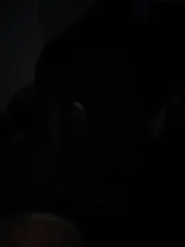 Bignc online show from 03-27-26, 11:33