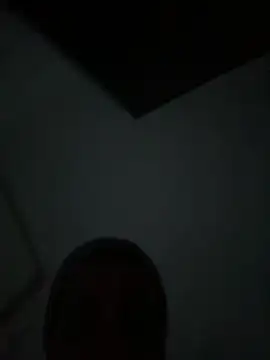 Pollitotex22cm online show from 01-07-26, 04:45