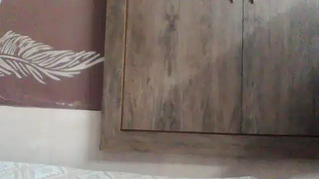 shalini fire online show from 12-02-25, 11:01