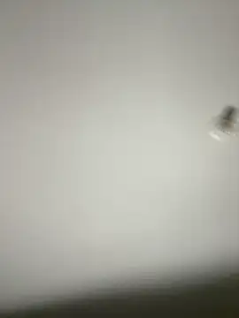 Morguisssz online show from 10-31-25, 12:51