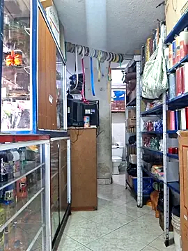 nidia2026 online show from 12-22-25, 03:56