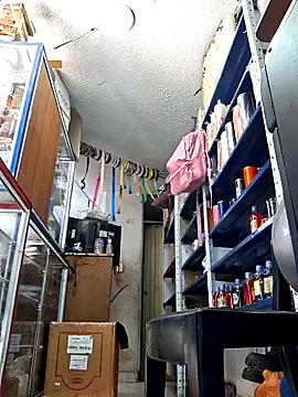 nidia2026 online show from 02-09-26, 02:15