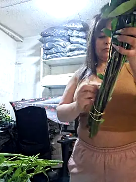 nidia2026 online show from 05-15-26, 04:16