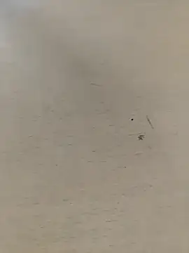 shale26 online show from 09-28-25, 07:37