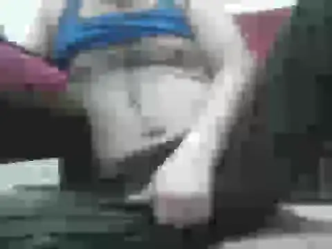 Snapshot of samee00721 chatting on 09-15-25, 04:40 samee00721 online show from 09-15-25, 04:40