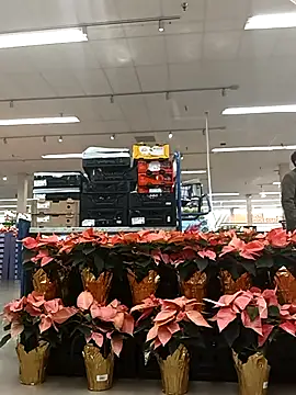 kobrashekyng online show from 11-14-25, 03:37