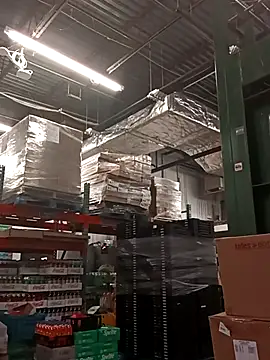 kobrashekyng online show from 09-30-25, 09:37