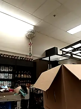 kobrashekyng online show from 10-31-25, 02:57