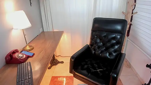 Pamela Johnsonn online show from 02-25-26, 05:46