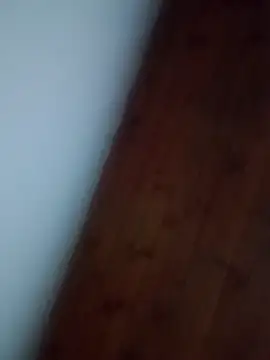 Darly Gomez online show from 02-05-25, 09:57