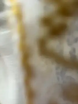 HoneyBearCpl online show from 10-29-25, 03:33