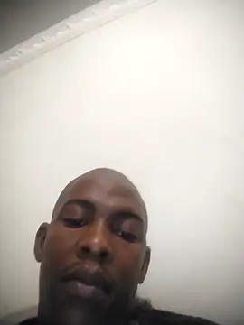 zuludog online show from 04-21-26, 11:33
