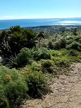 Samira-Summer online show from 02-22-26, 10:17