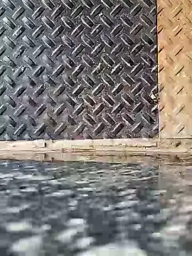 Coastal online show from 02-07-25, 02:40