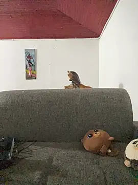 Junihn0 online show from 10-26-25, 04:24