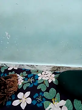 Haniya-143 online show from 12-15-25, 09:42