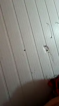 Snapshot of frotasso chatting on 01-01-25, 10:32 frotasso online show from 01-01-25, 10:32