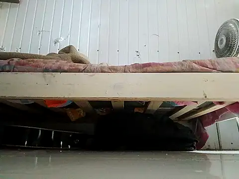 frotasso online show from 02-13-26, 11:05