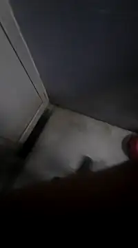 Ritikdesi online show from 03-02-25, 05:23