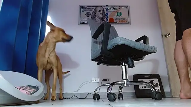 boss of cash online show from 07-01-26, 12:05
