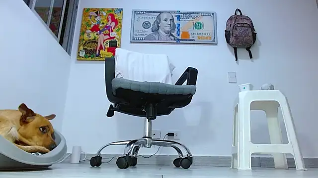 boss of cash online show from 07-13-26, 04:34