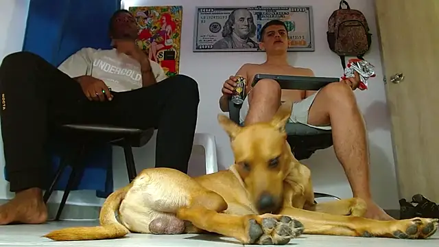 boss of cash online show from 07-14-26, 06:25