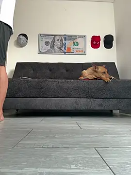 boss of cash online show from 02-27-26, 12:16