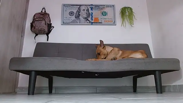 boss of cash online show from 05-31-26, 06:09