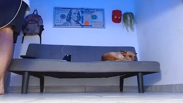 boss of cash online show from 05-14-26, 12:07