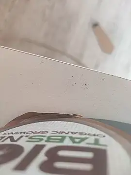 lunaxxxtreme online show from 11-11-25, 12:22