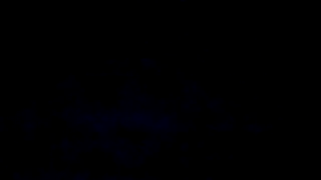 NastyBlackslaveGirl online show from 02-17-25, 01:55