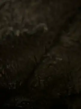 hamoo23p online show from 02-22-26, 02:47