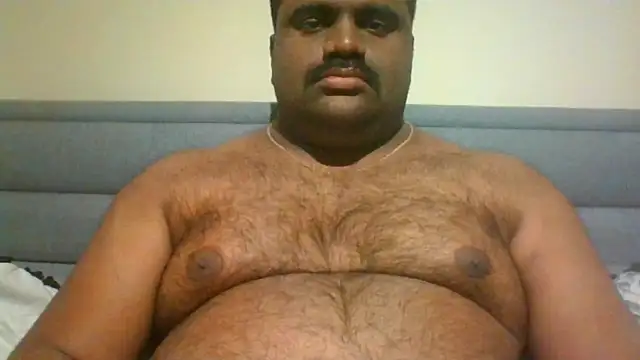 indianbearbot online show from 12-15-24, 08:25