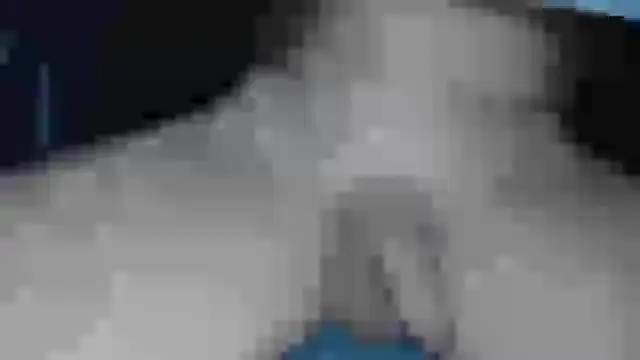 cs1512 online show from 02-13-25, 06:37