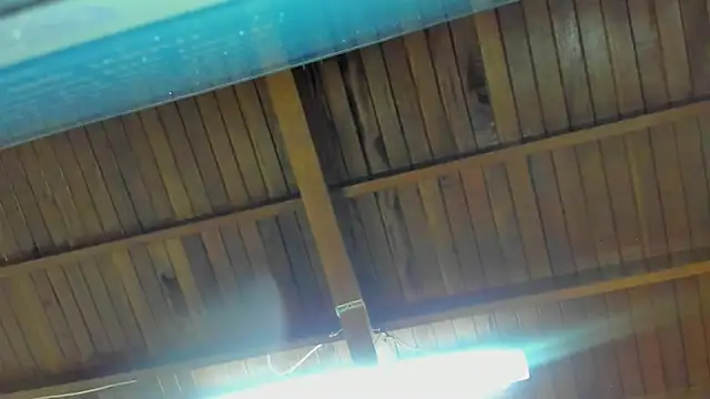 jeicob gagnon online show from 09-15-25, 02:01