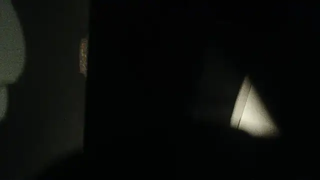 teek1234 1 online show from 02-01-25, 05:18