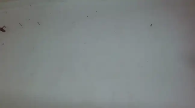  amira dalila online show from 12-27-24, 03:37