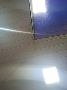 ppatriciarabello online show from 11-24-25, 03:56