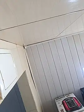 ppatriciarabello online show from 11-17-25, 03:49