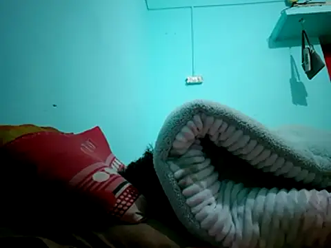 jaydev madhuri online show from 12-22-24, 02:49