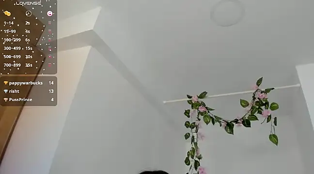 Snapshot of Ninna--1 chatting on 01-12-25, 06:59 Ninna--1 online show from 01-12-25, 06:59