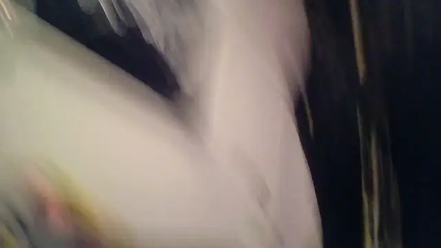 SilverandFox online show from 11-05-25, 09:34