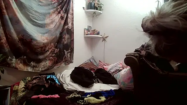 SilverandFox online show from 11-18-25, 12:19