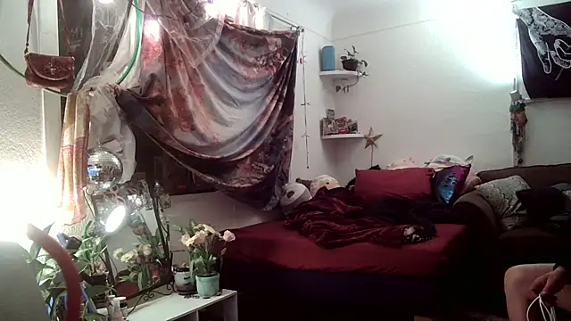 SilverandFox online show from 11-23-25, 06:12