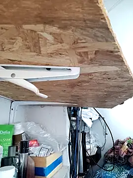 gatoalex89 online show from 04-08-26, 10:22